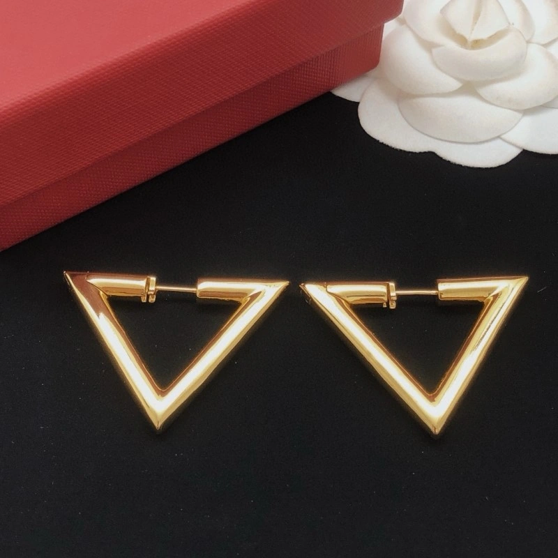 Practical Valentino Earrings 207701