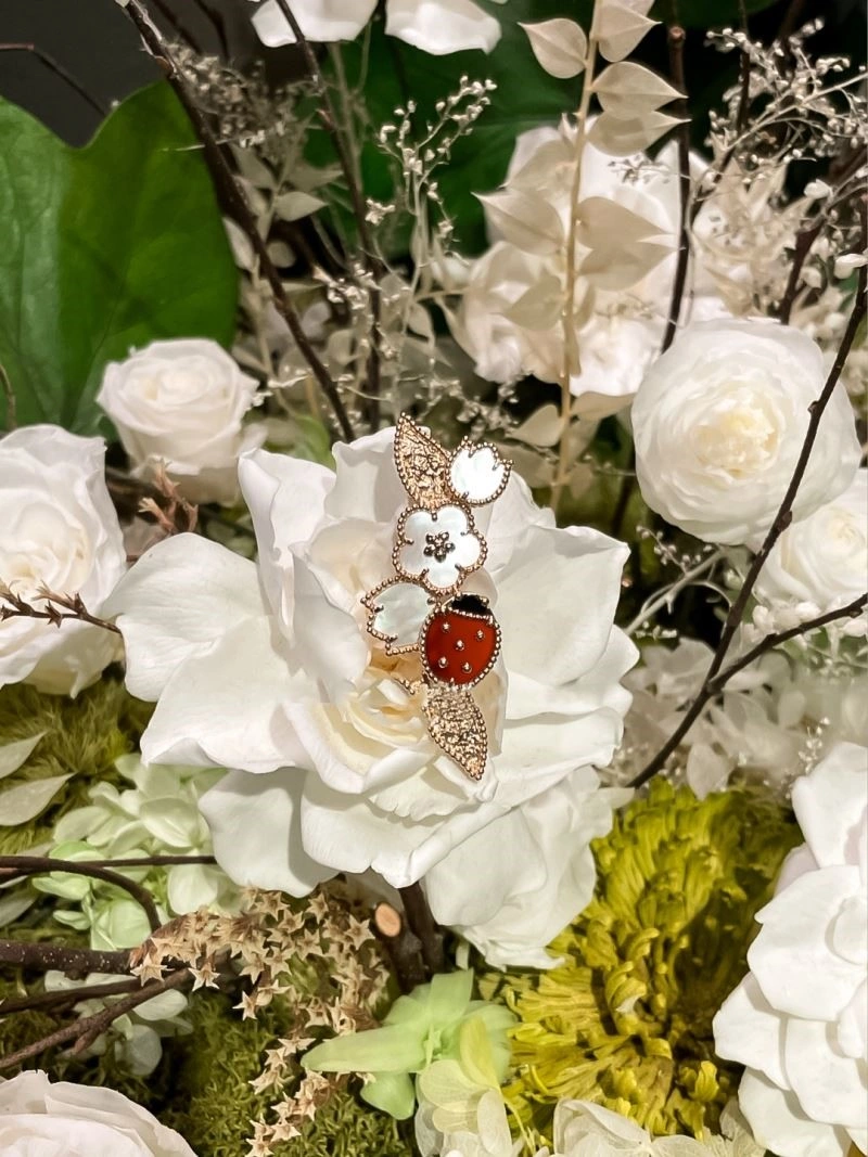 Classic Vca Brooches 254380