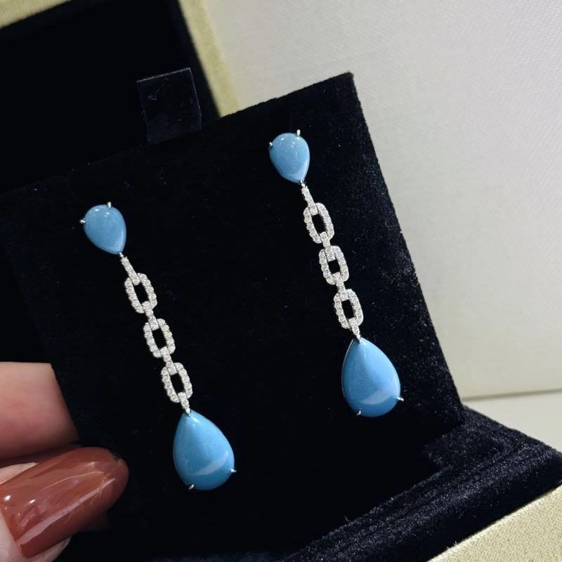 AllSeason Vca Earrings 255362