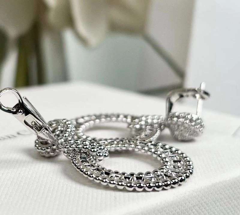 SmoothTexture Vca Earrings 255018