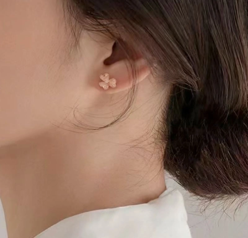 Vca Earrings ZeroBulk 254996