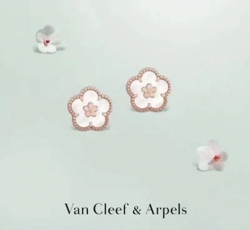Vca Earrings MoistureWicking 254725