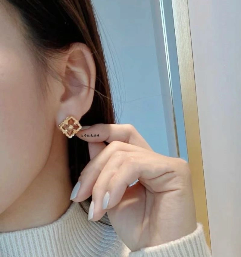 Vca Earrings GoAnywhere 254541