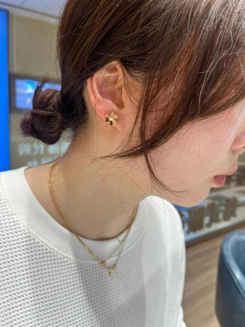 Vca Earrings SmartChoice 254397