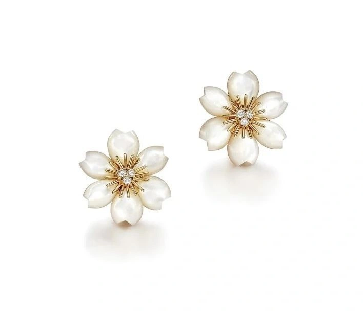 FashionForward Vca Earrings 254381