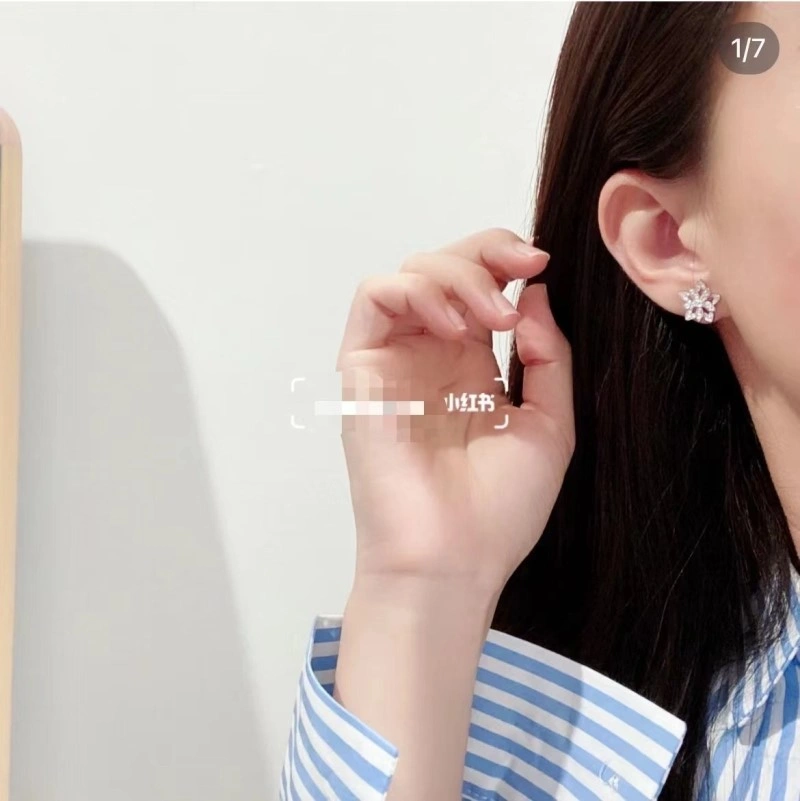 Vca Earrings WaterResistant 254073