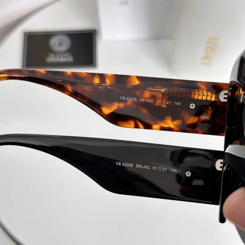 Versace Sunglasses GoAnywhere 282541