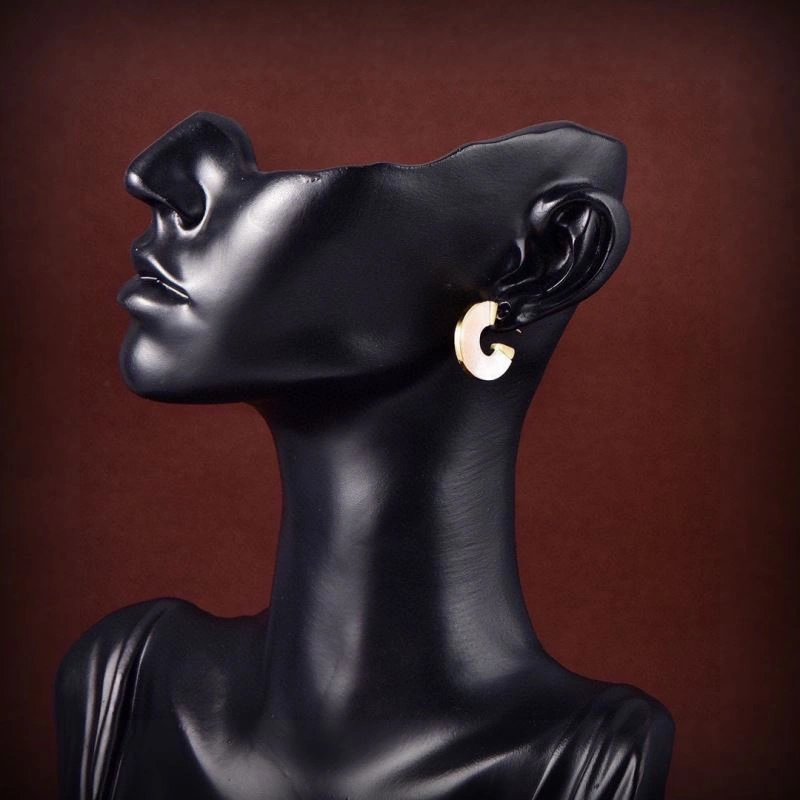 Vivienne Westwood Earrings MultiPurpose 211544