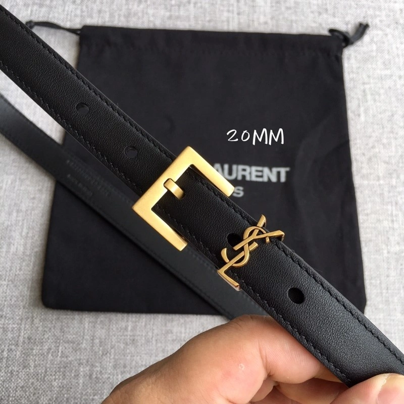 Neat YSL Belts 305842