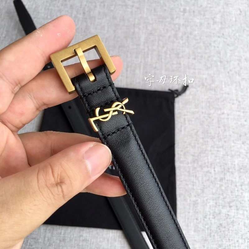 Neat YSL Belts 305842