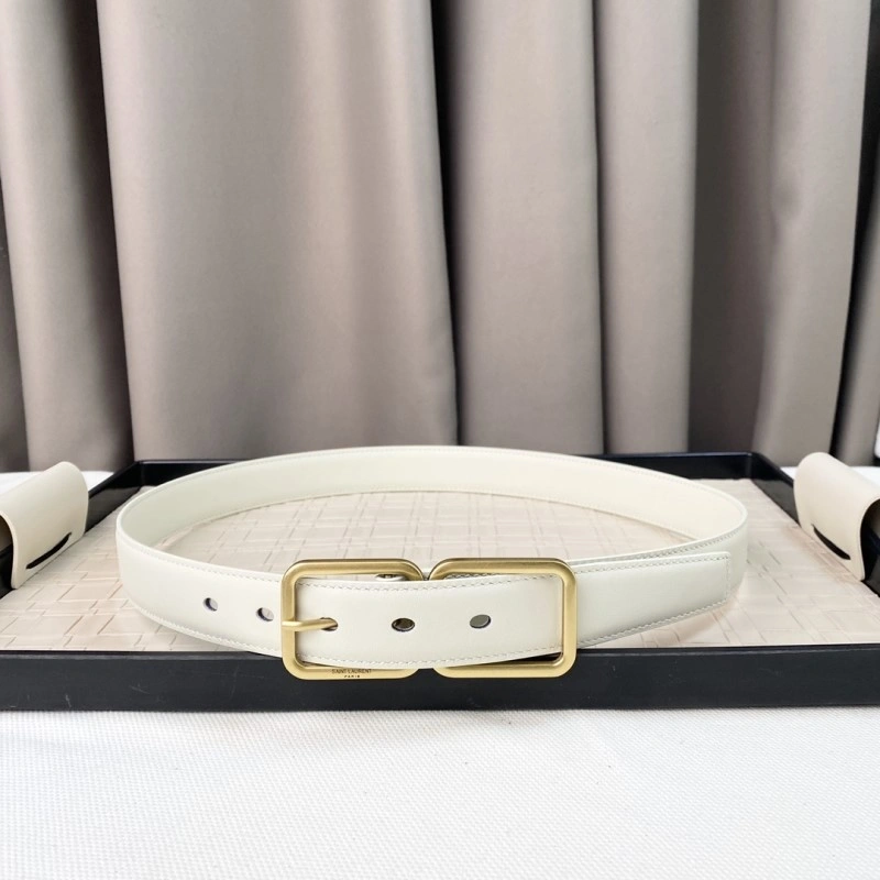 Colorful YSL Belts 305820