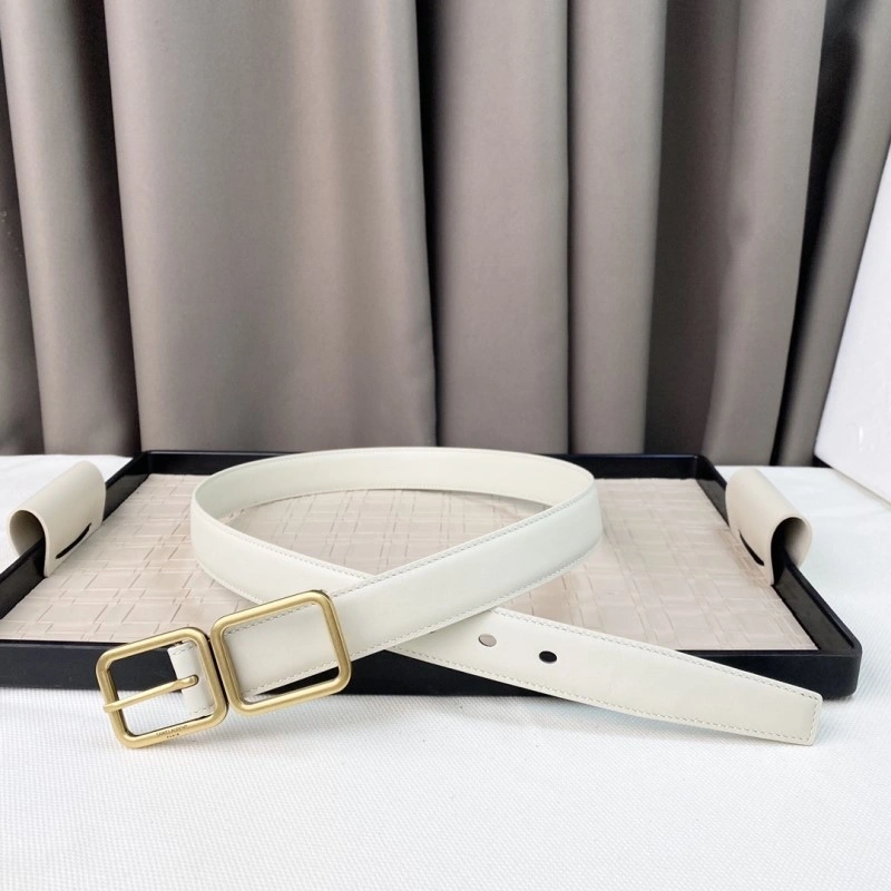 Colorful YSL Belts 305820