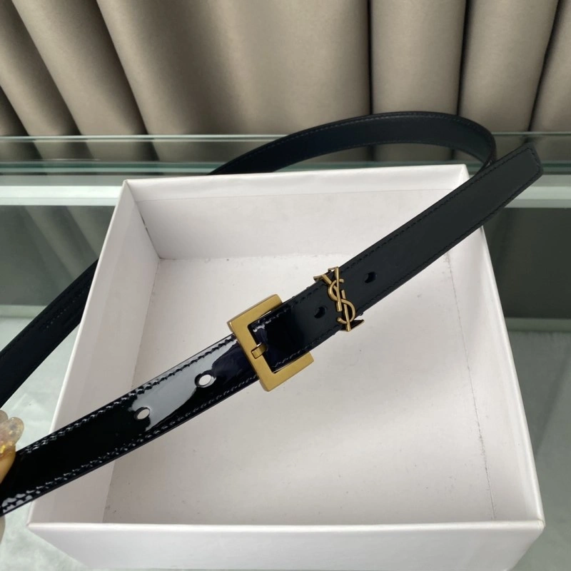 Neat YSL Belts 305804
