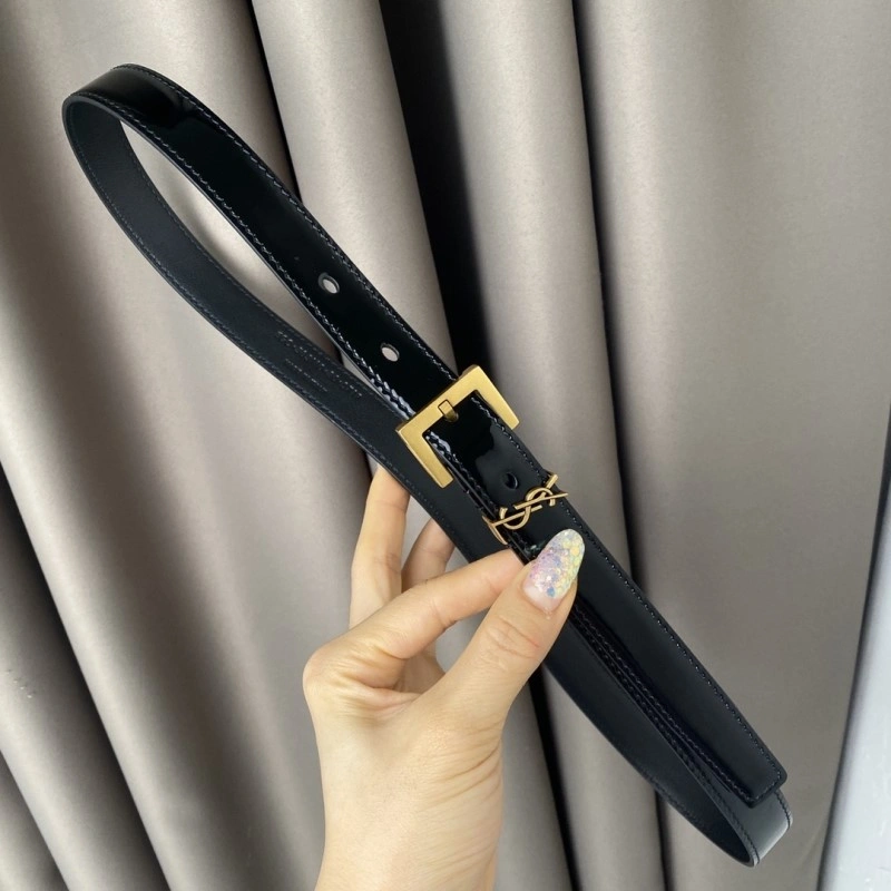 Neat YSL Belts 305804