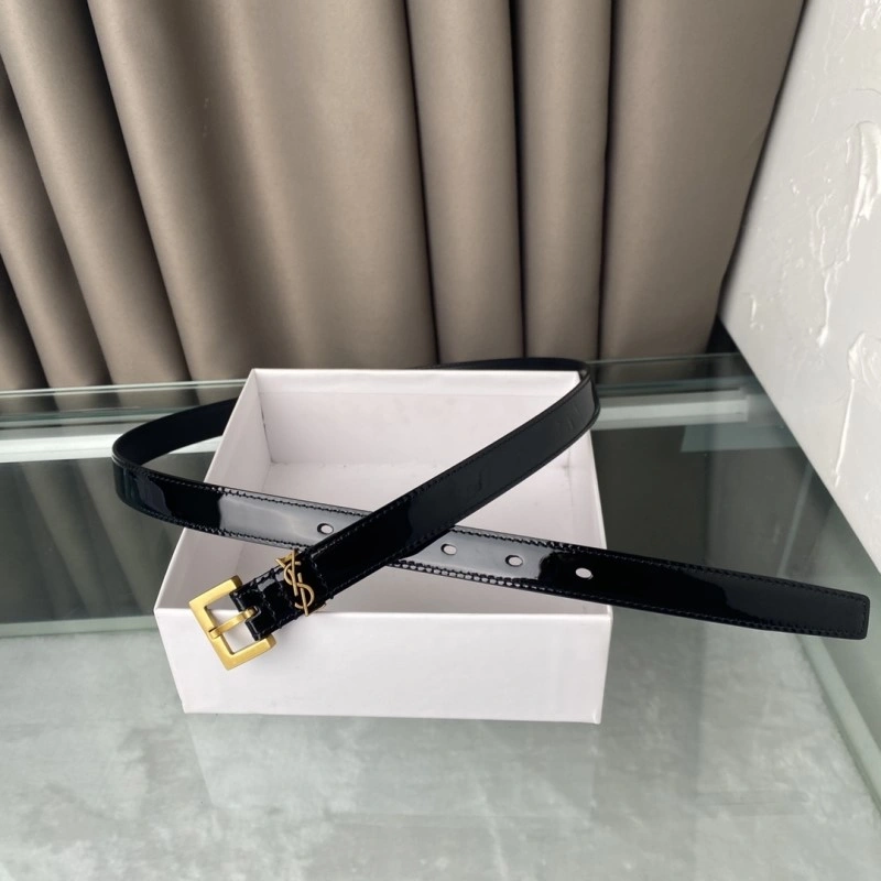 Neat YSL Belts 305804