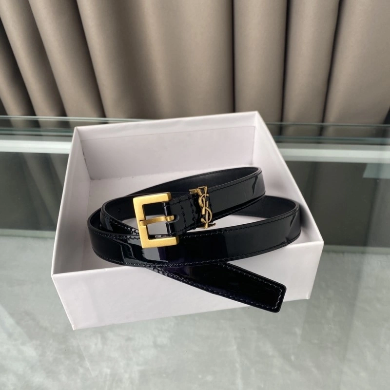 Neat YSL Belts 305804