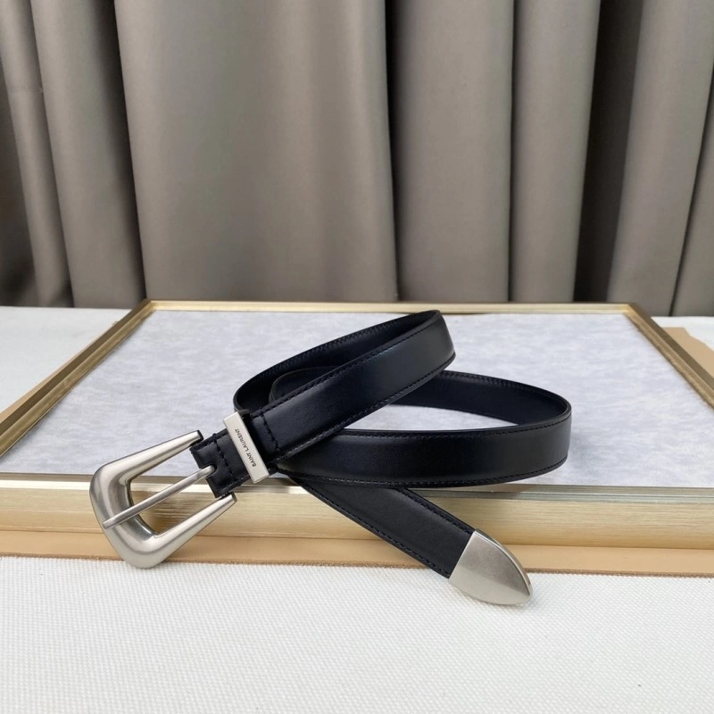 WrinkleFree YSL Belts 305780