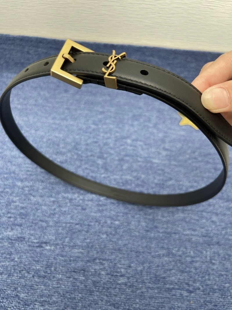 Supportive YSL Belts 305790