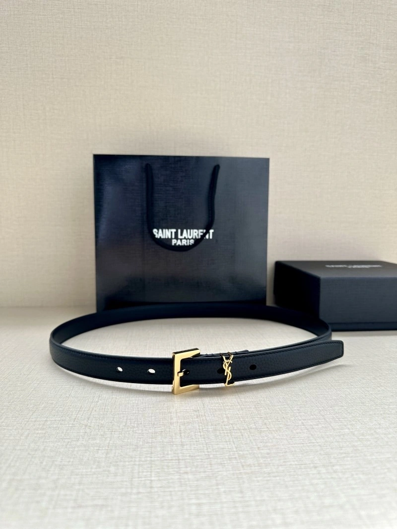 Efficient YSL Belts 305768