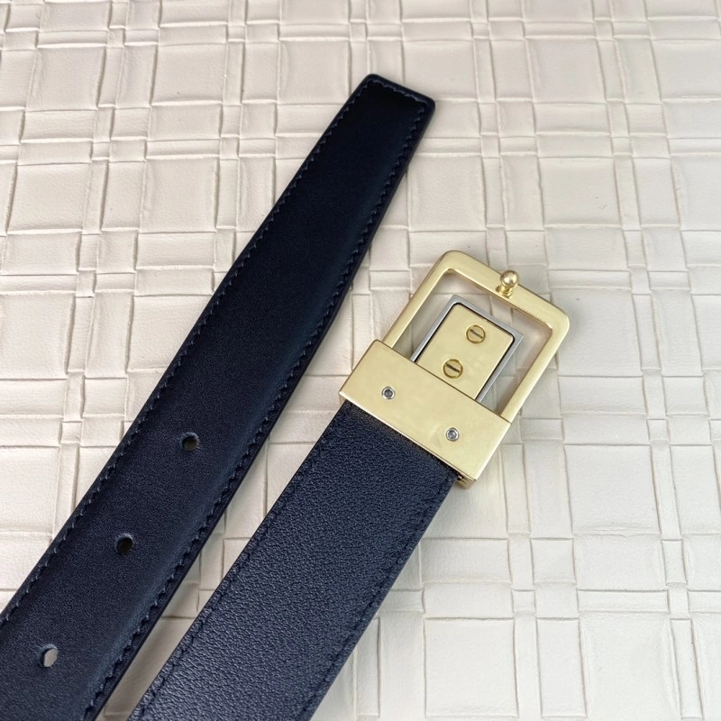 Supportive YSL Belts 305758