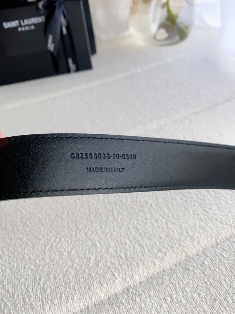 ModernLook YSL Belts 305927