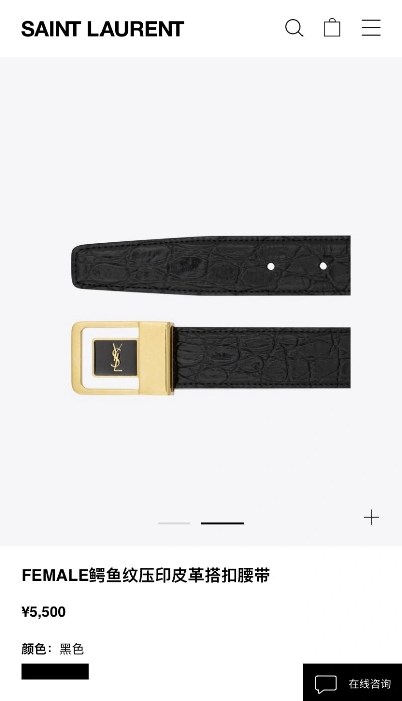 DailyWear YSL Belts 305754
