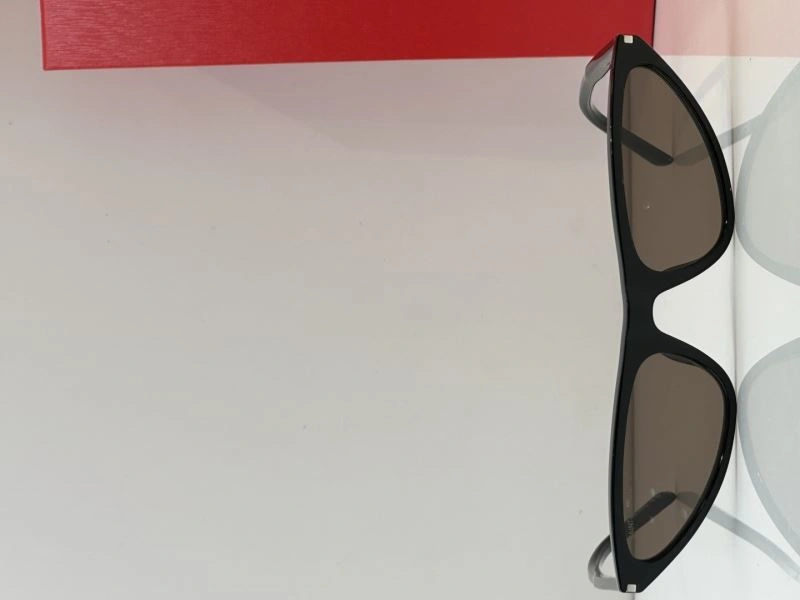 EasyCare YSL Sunglasses 282751