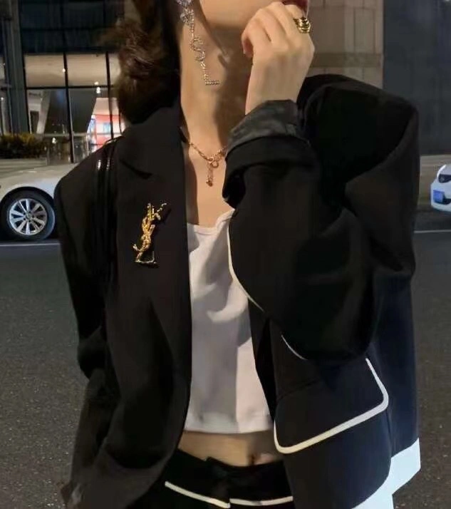 HighQuality Ysl Brooches 211479