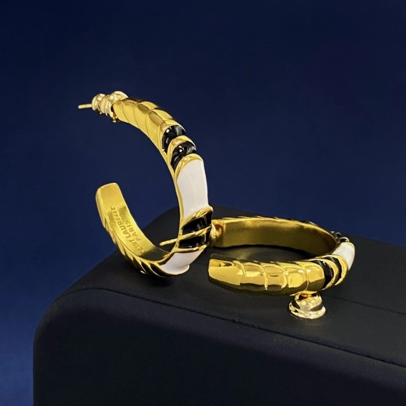 SmoothTexture Ysl Earrings 208206