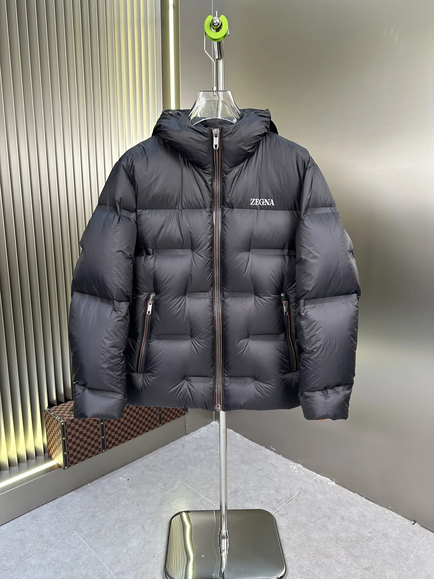 Zegna Down Jackets EasyMatch 165136