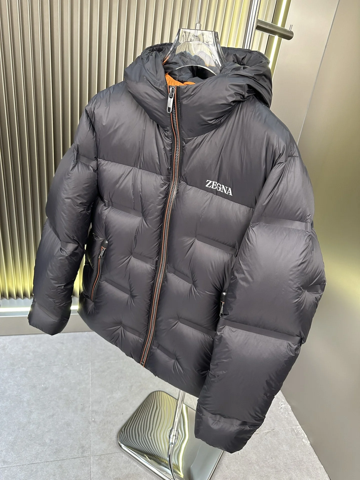 Zegna Down Jackets EasyMatch 165136