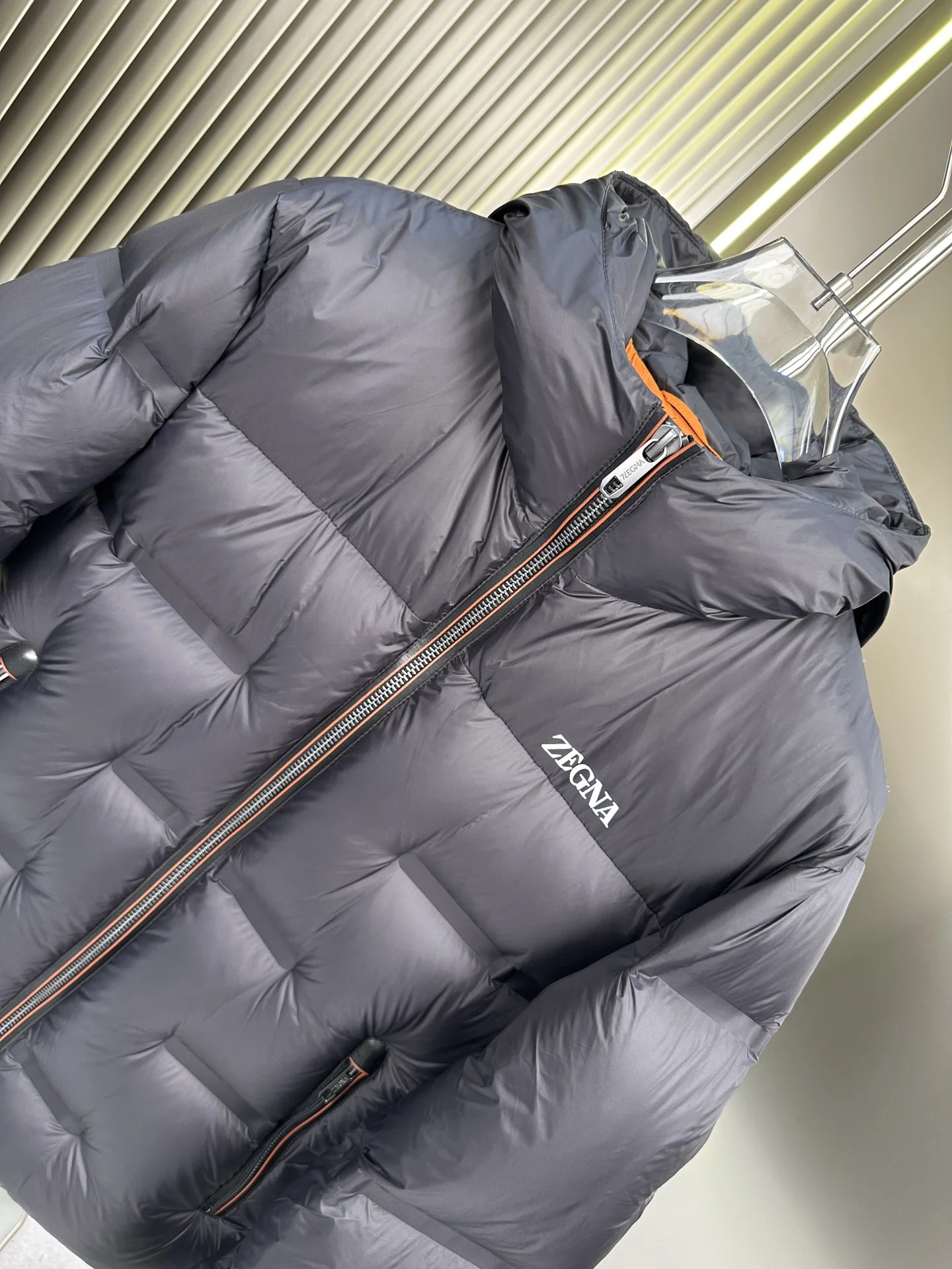 Zegna Down Jackets EasyMatch 165136