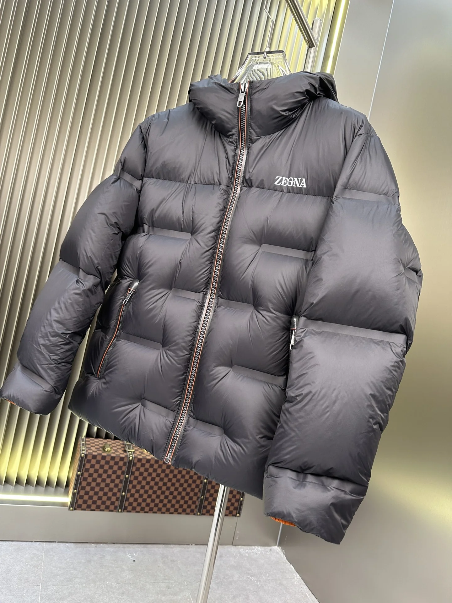 Zegna Down Jackets EasyMatch 165136