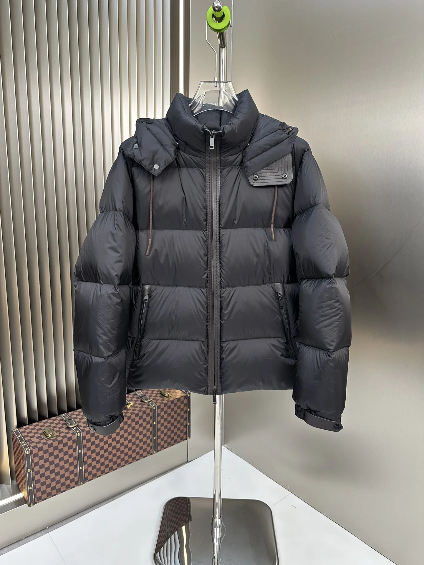 StreetReady Zegna Down Jackets 165125