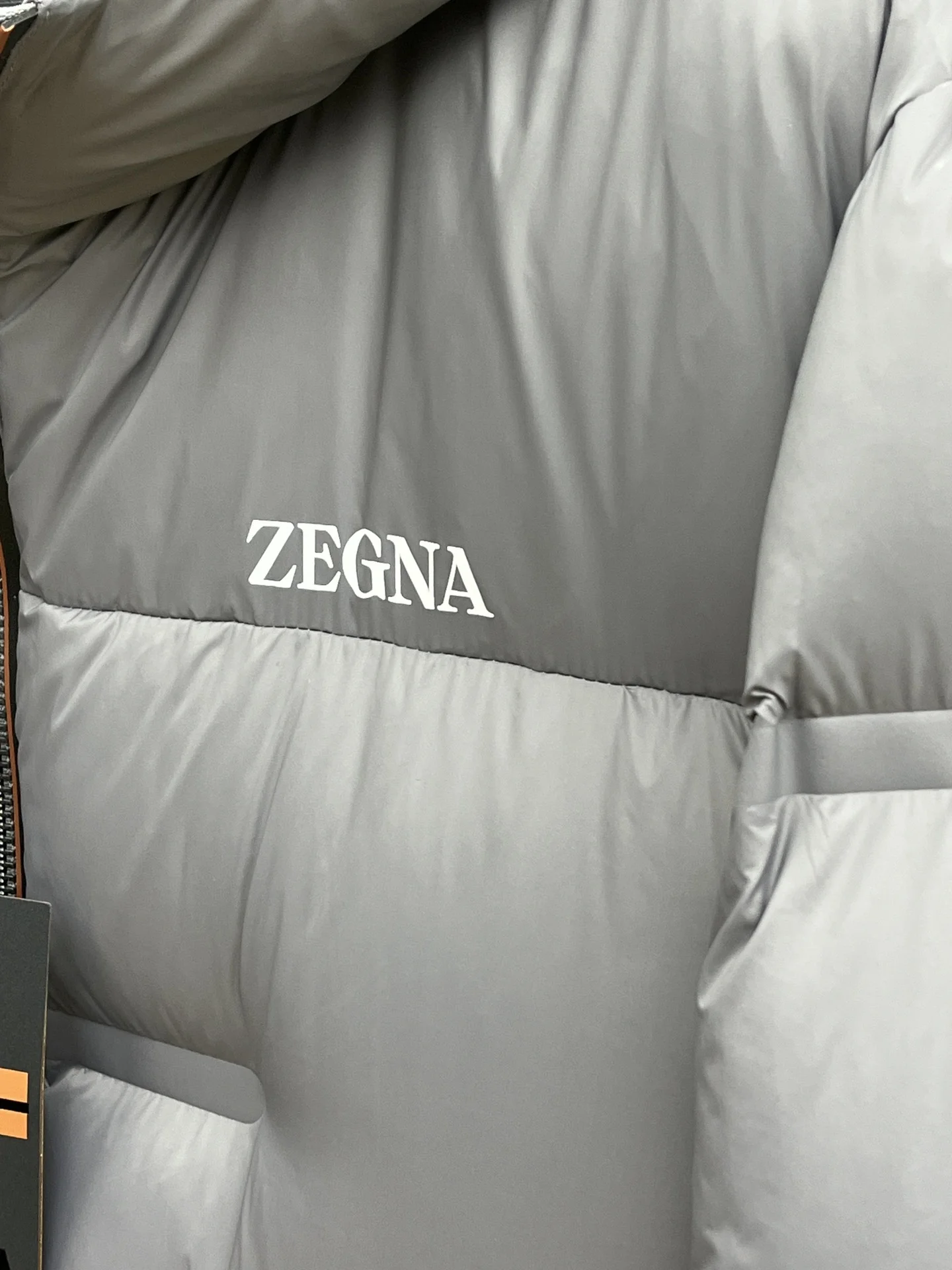 Bright Zegna Down Jackets 165108