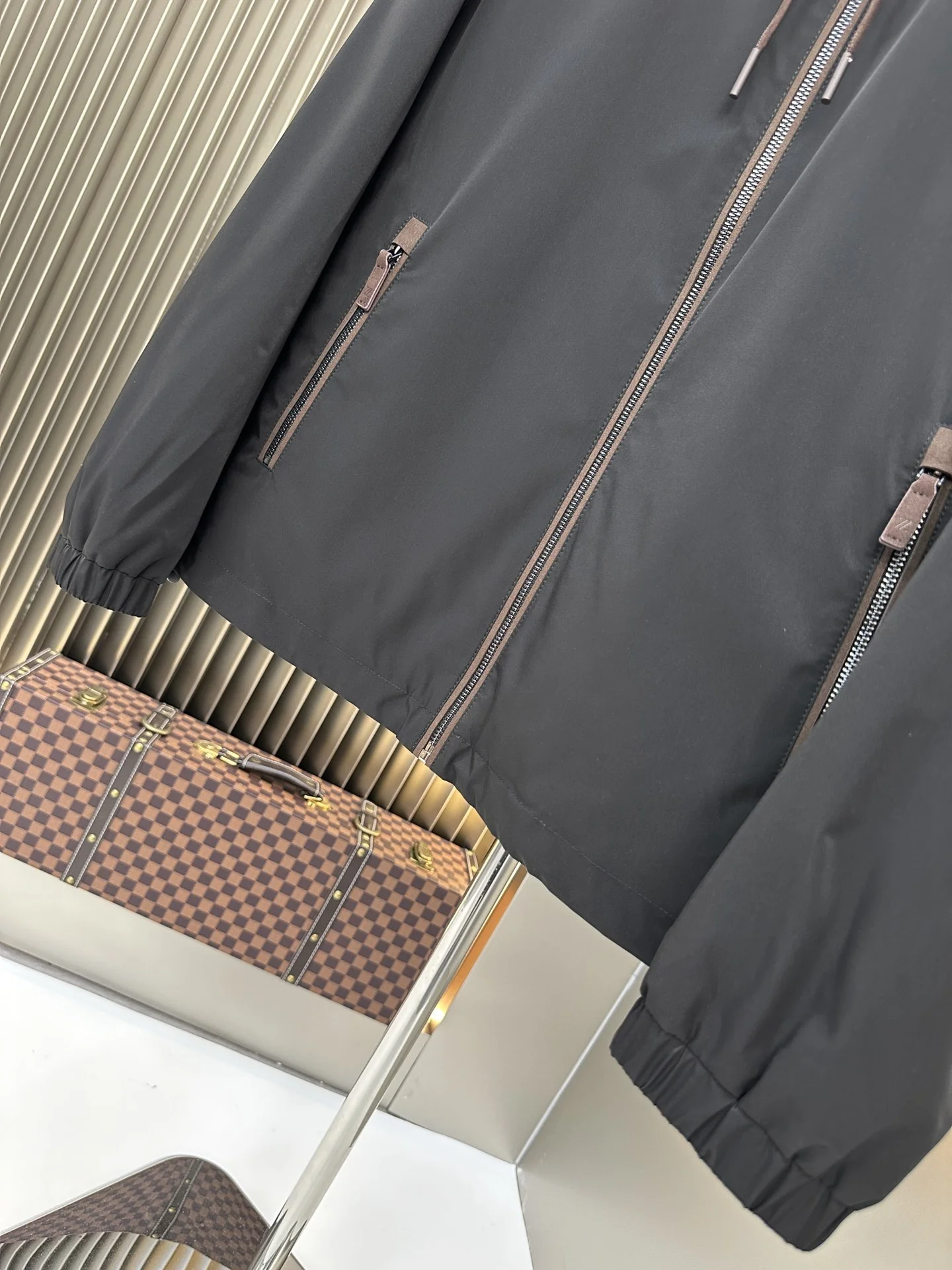Zegna Down Jackets EyeCatching 165103