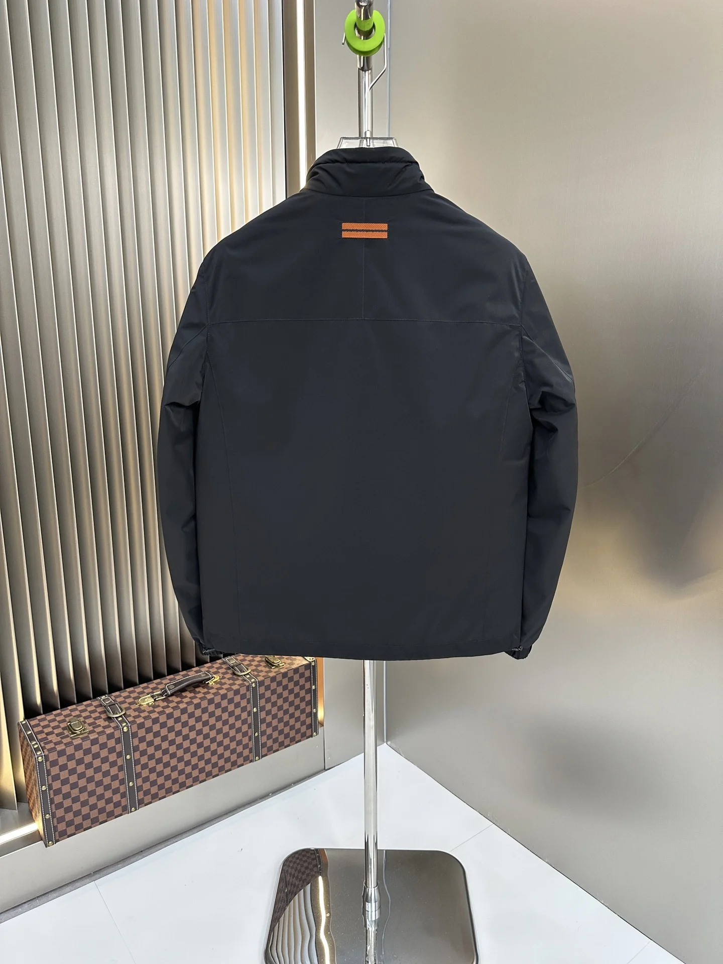 Zegna Down Jackets EyeCatching 165103