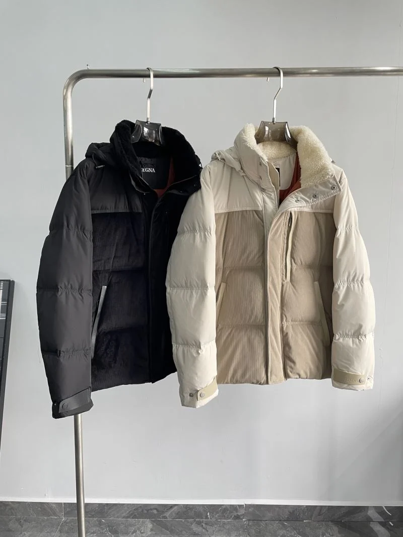 Upgraded Zegna Down Jackets 164894