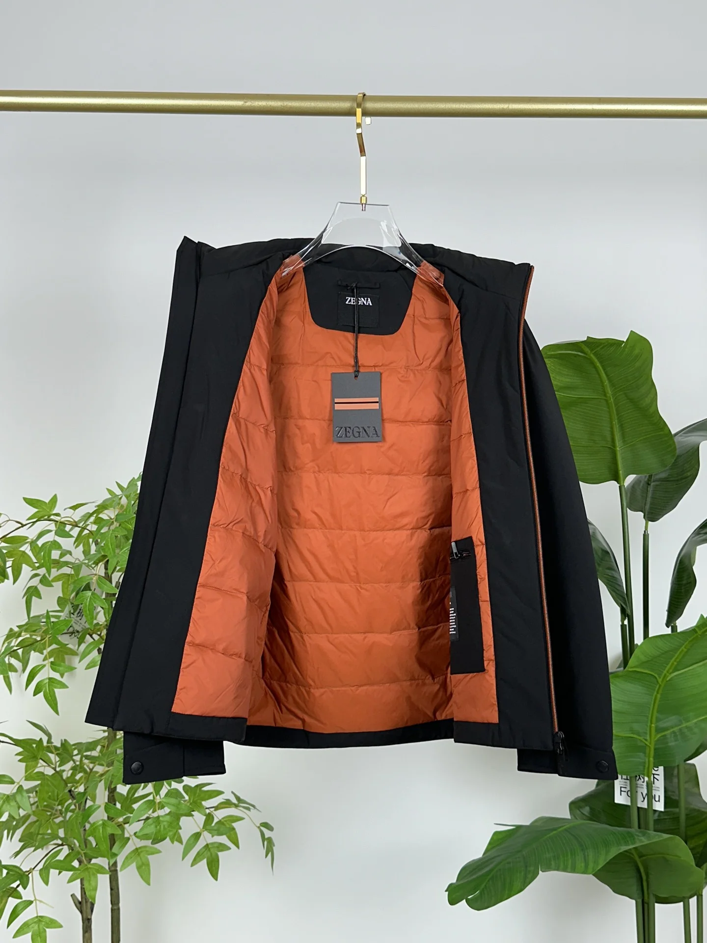 Zegna Down Jackets WrinkleFree 165079