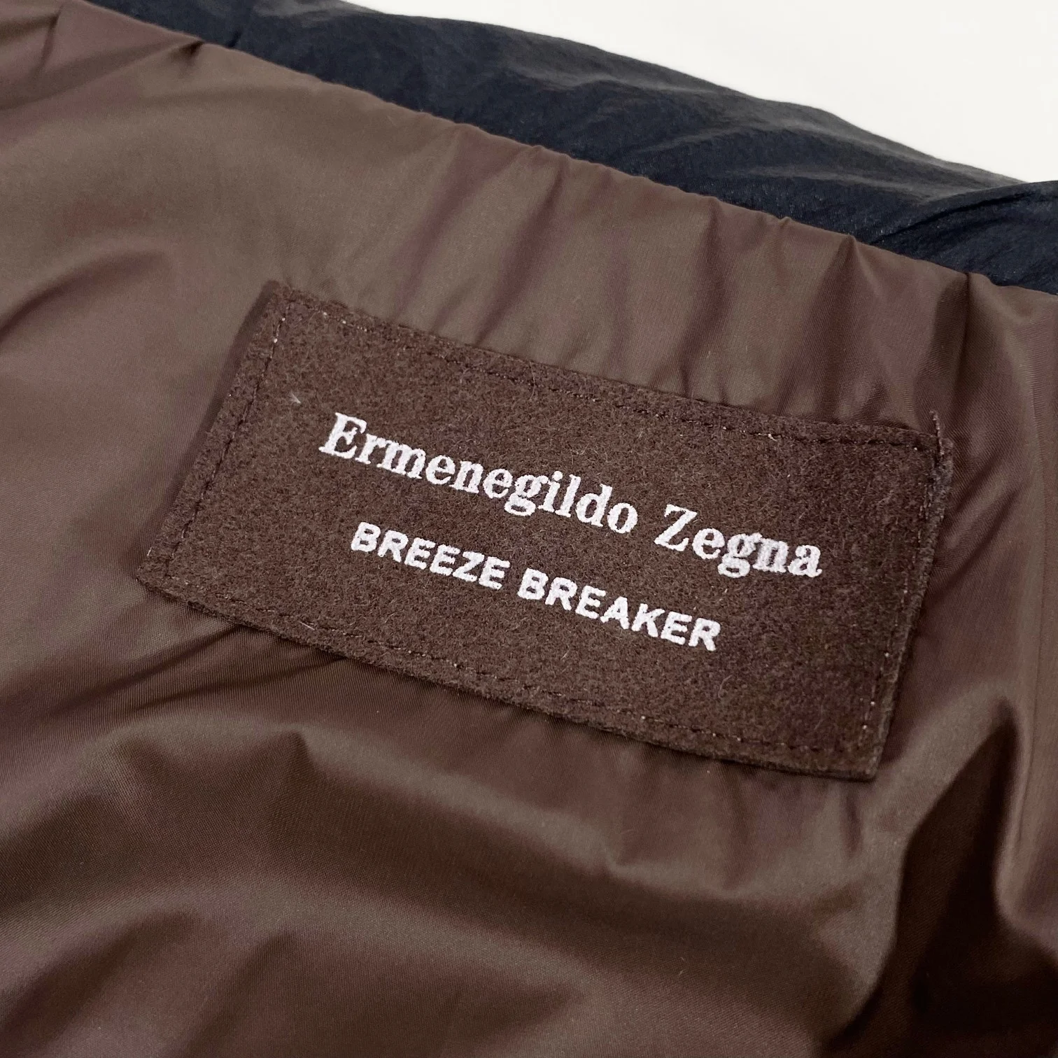 Attractive Zegna Down Jackets 165006