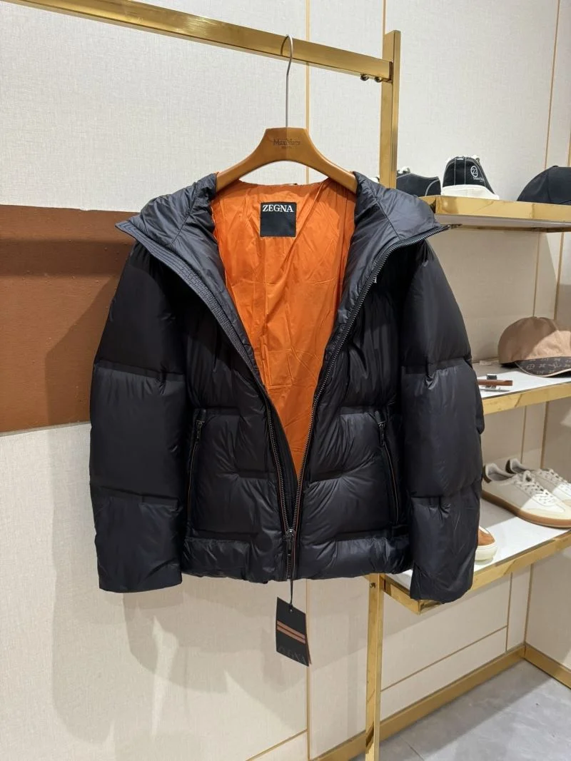 Zegna Down Jackets Colorful 164739