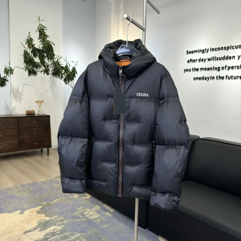 Chic Zegna Down Jackets 164727