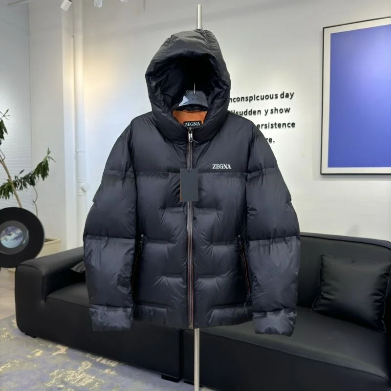 Chic Zegna Down Jackets 164727