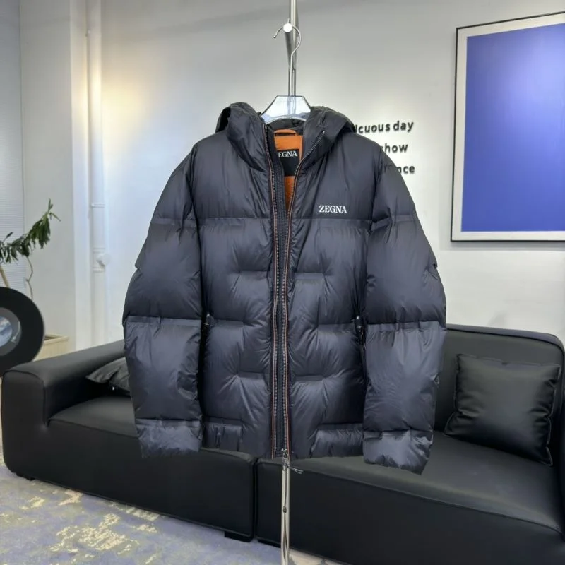 Chic Zegna Down Jackets 164727