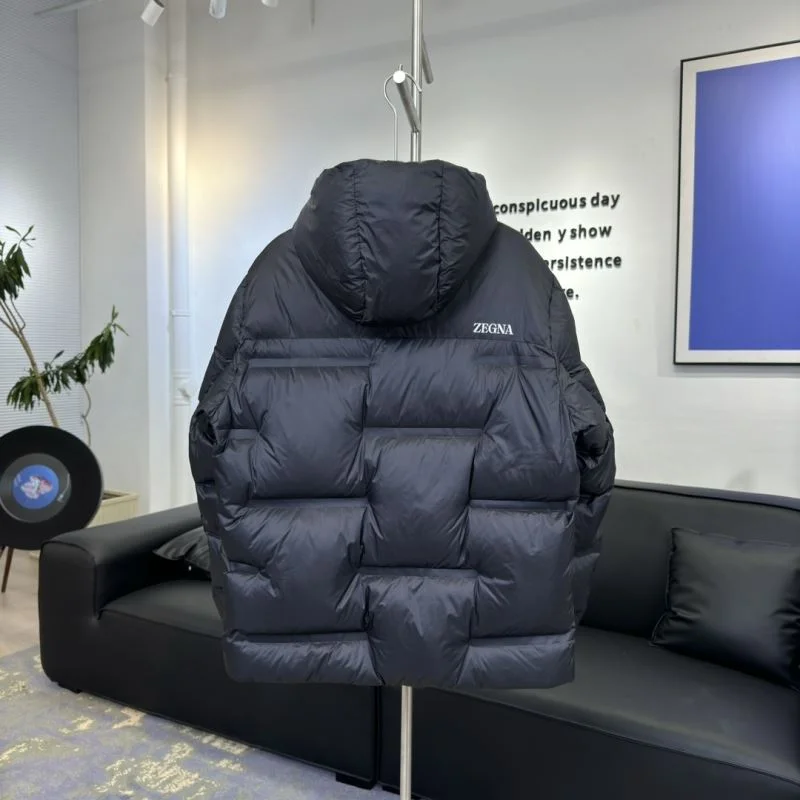 Chic Zegna Down Jackets 164727