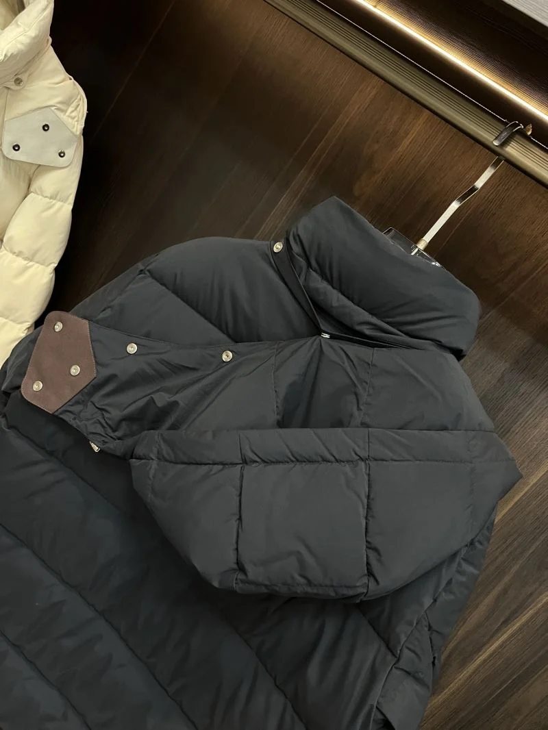WrinkleFree Zegna Down Jackets 164709