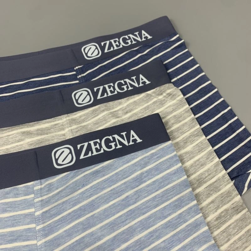 Cozy Zegna Underwear 276844