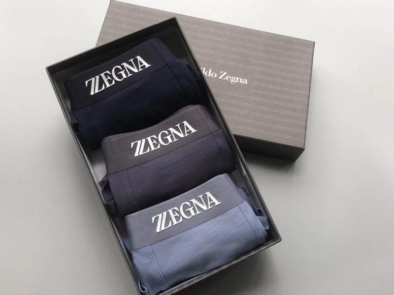 Sophisticated Zegna Underwear 276714