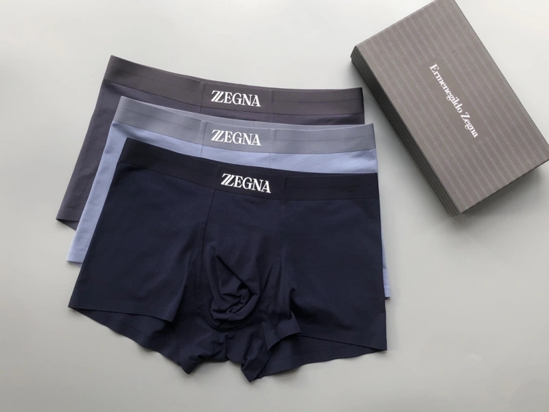 Sophisticated Zegna Underwear 276714