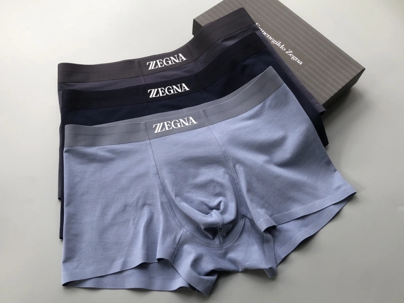 Sophisticated Zegna Underwear 276714